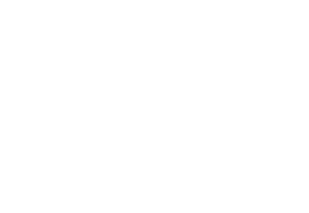 Logo Rii Seez Net